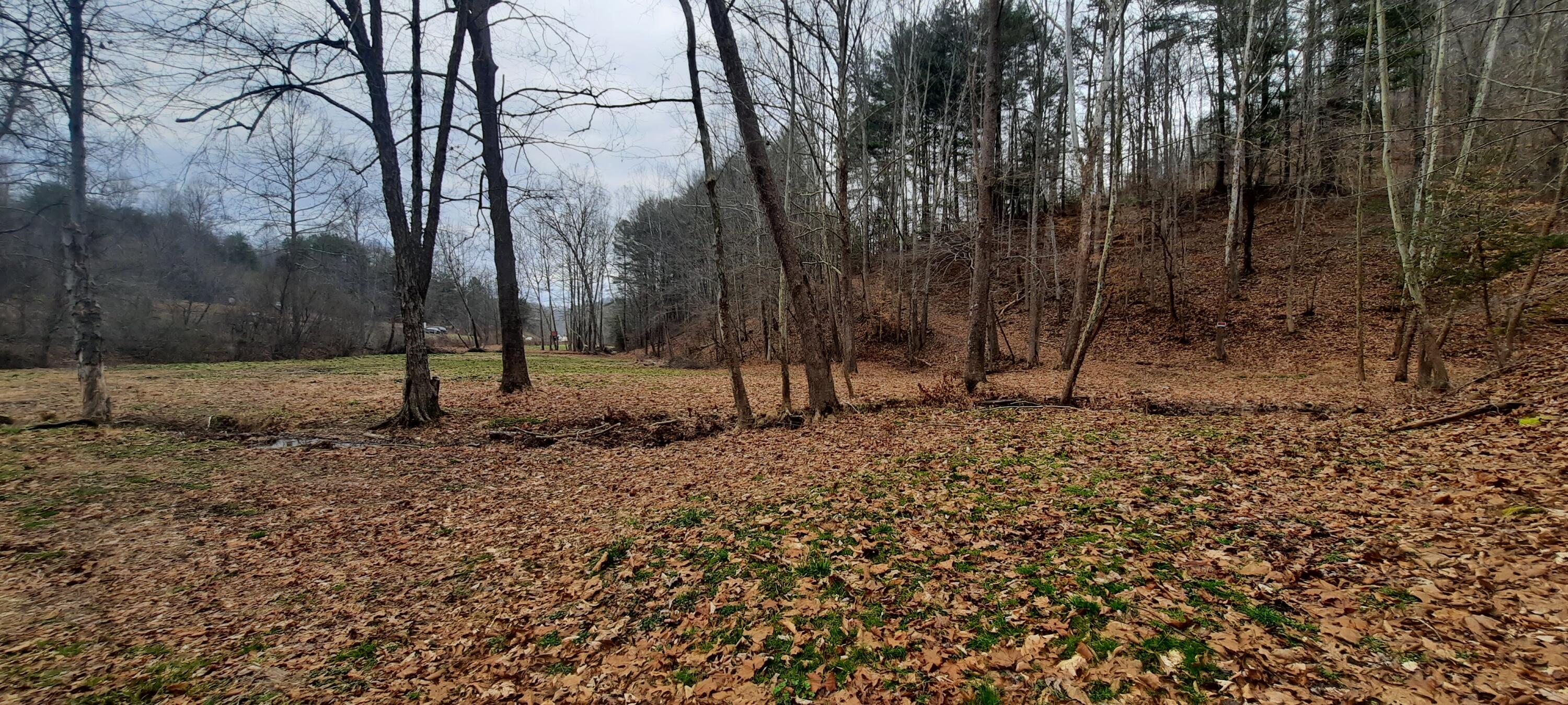 2135 Urban Creek Road Manchester, KY 40962 - Photo 48 of 81 20240227_140415