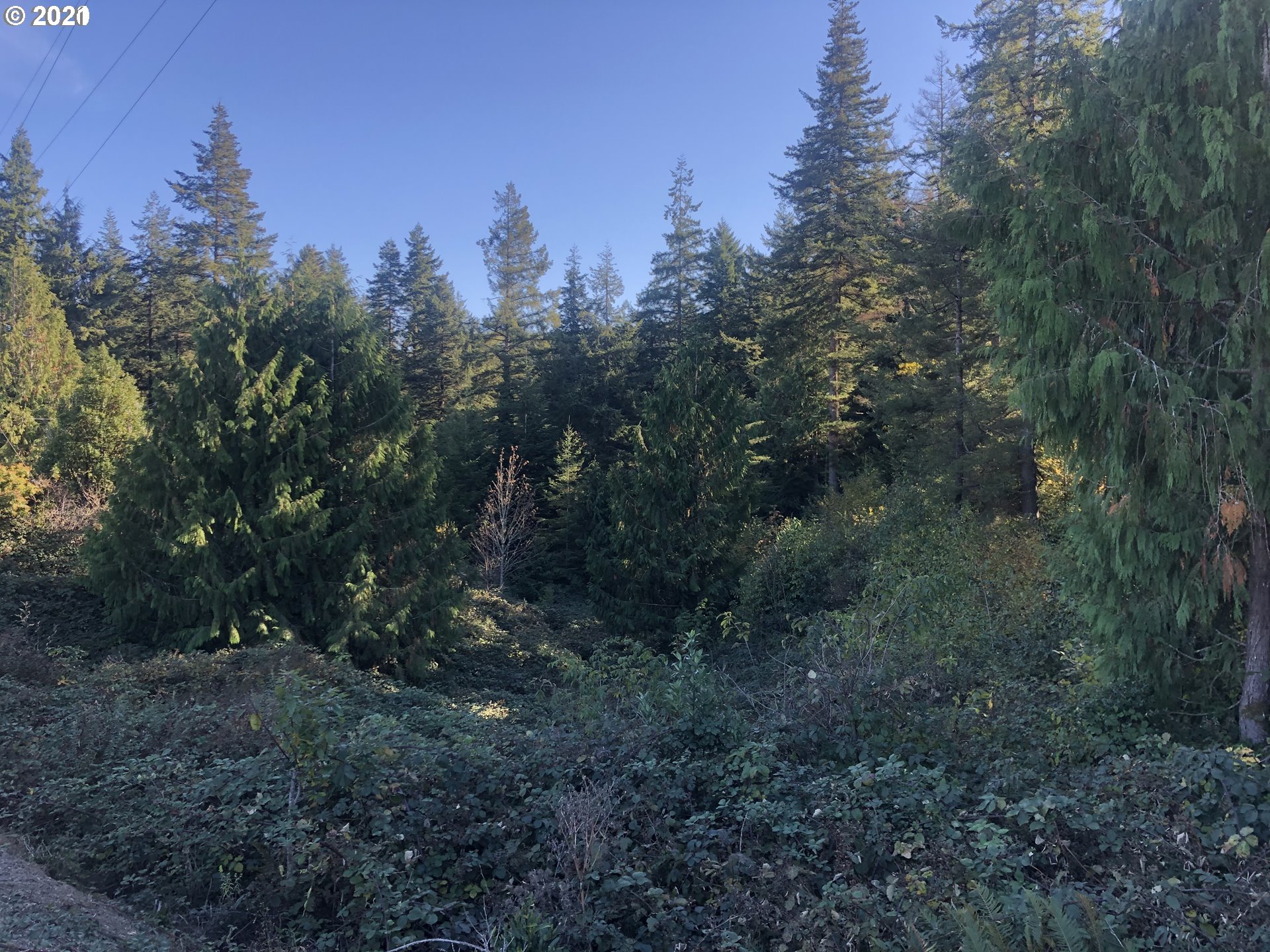 57198 Fat Elk Road Coquille, OR 97423 - Photo 14 of 17