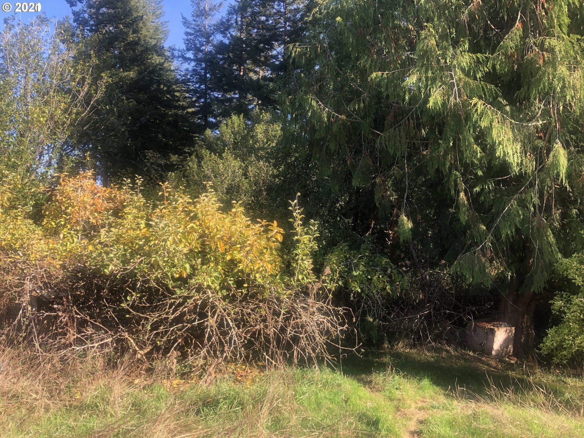 57198 Fat Elk Road Coquille, OR 97423 - Photo 15 of 17