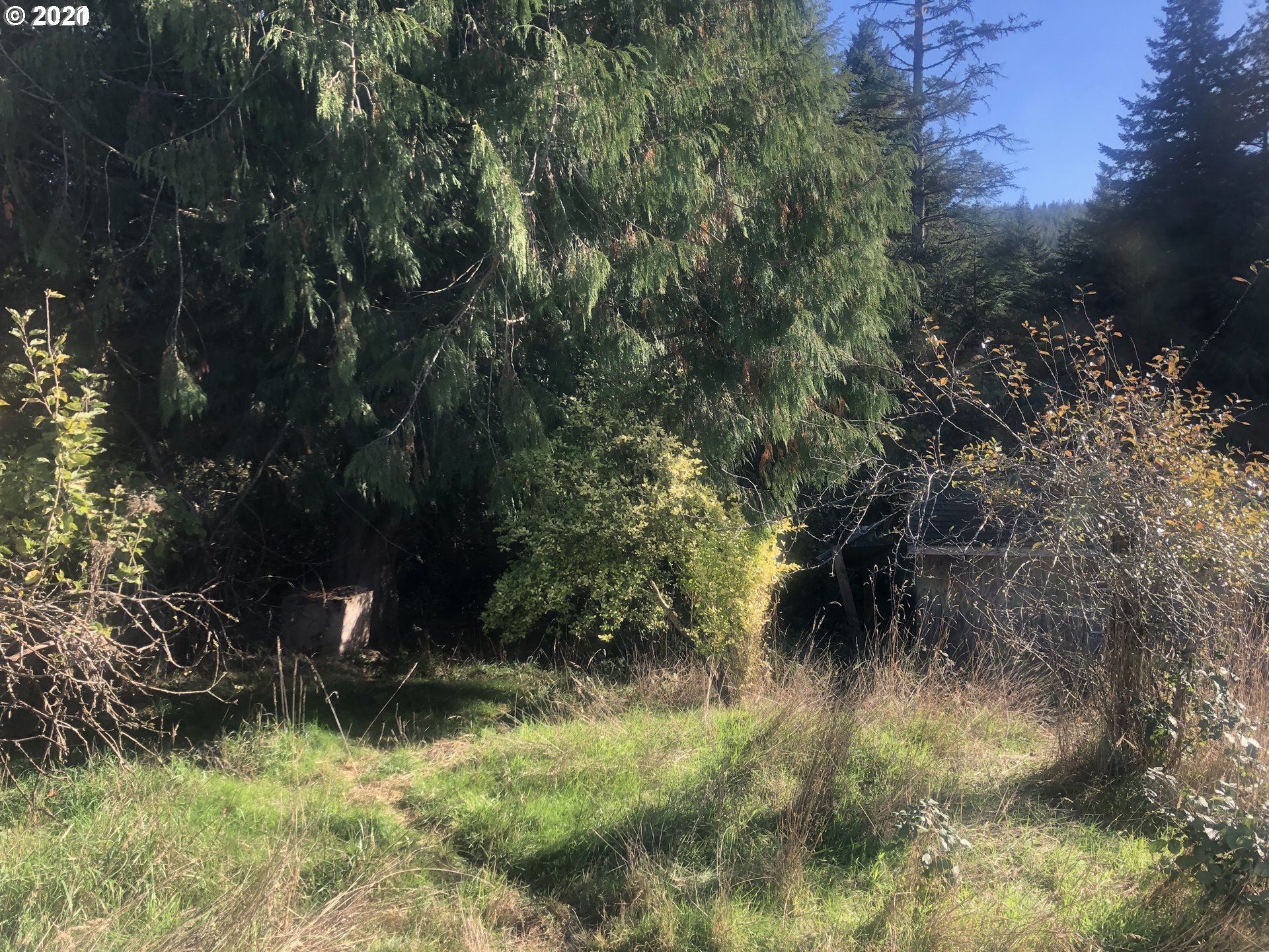 57198 Fat Elk Road Coquille, OR 97423 - Photo 16 of 17
