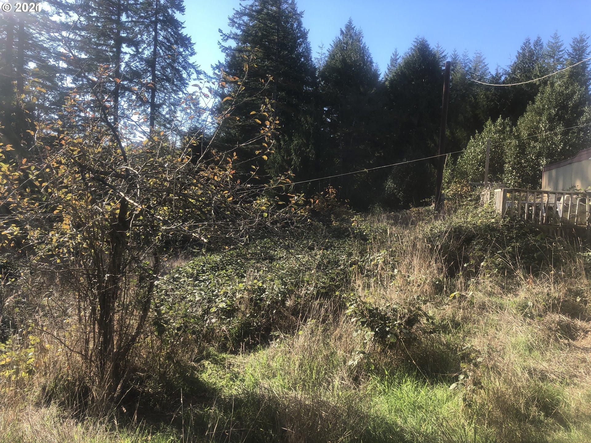 57198 Fat Elk Road Coquille, OR 97423 - Photo 17 of 17