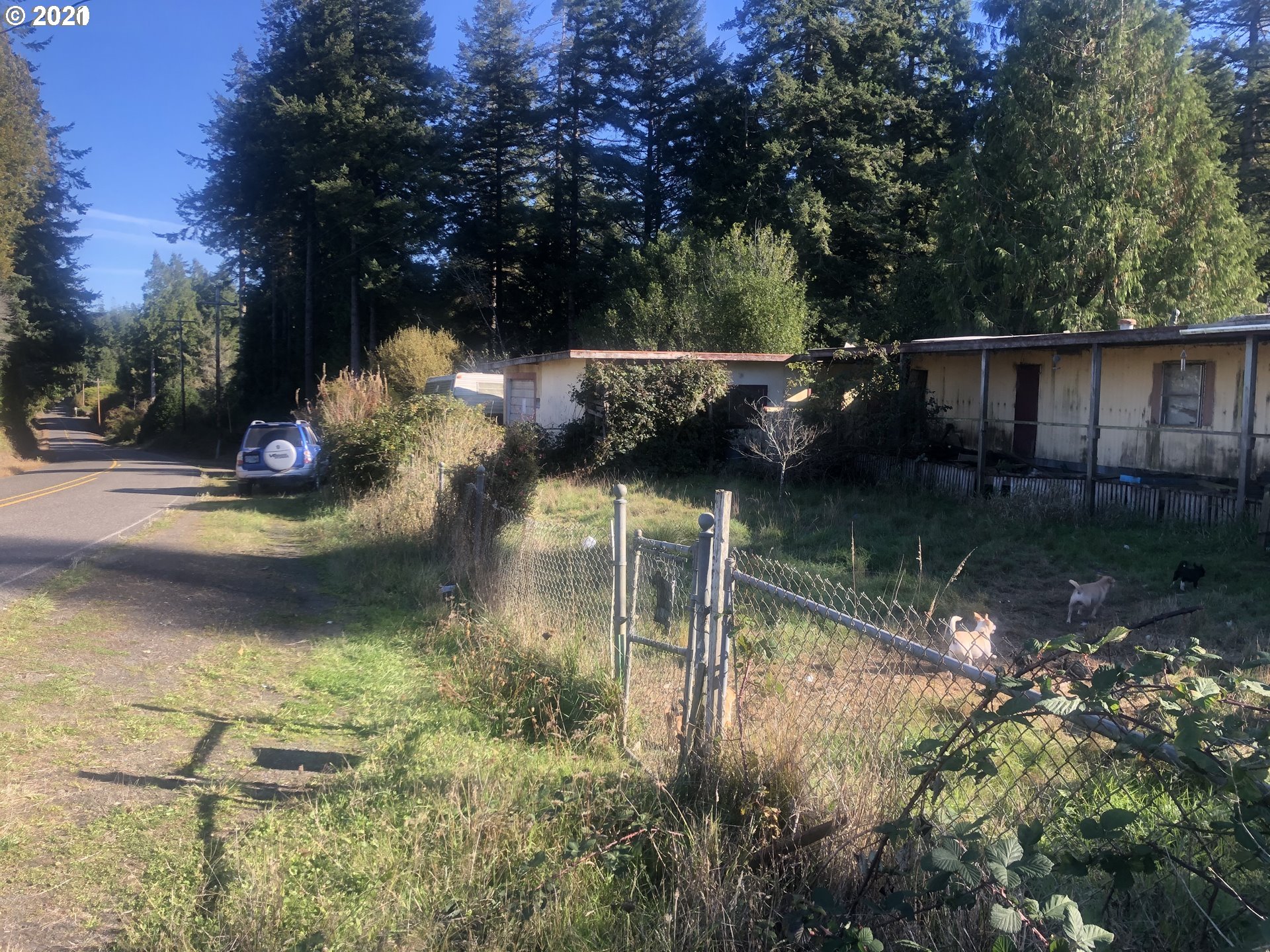 57198 Fat Elk Road Coquille, OR 97423 - Photo 3 of 17