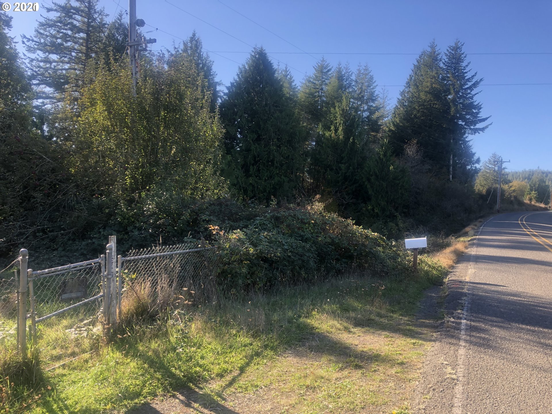 57198 Fat Elk Road Coquille, OR 97423 - Photo 4 of 17