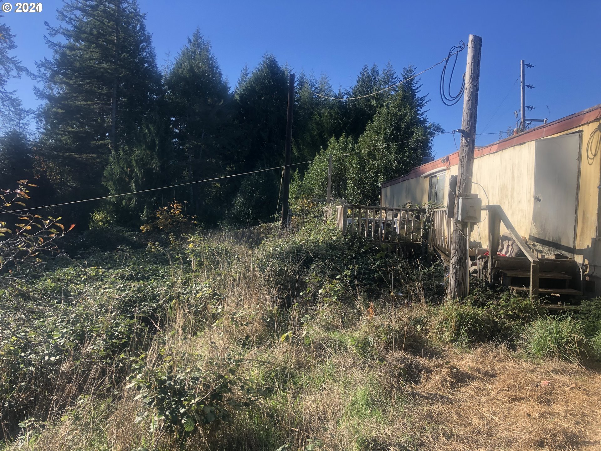 57198 Fat Elk Road Coquille, OR 97423 - Photo 6 of 17