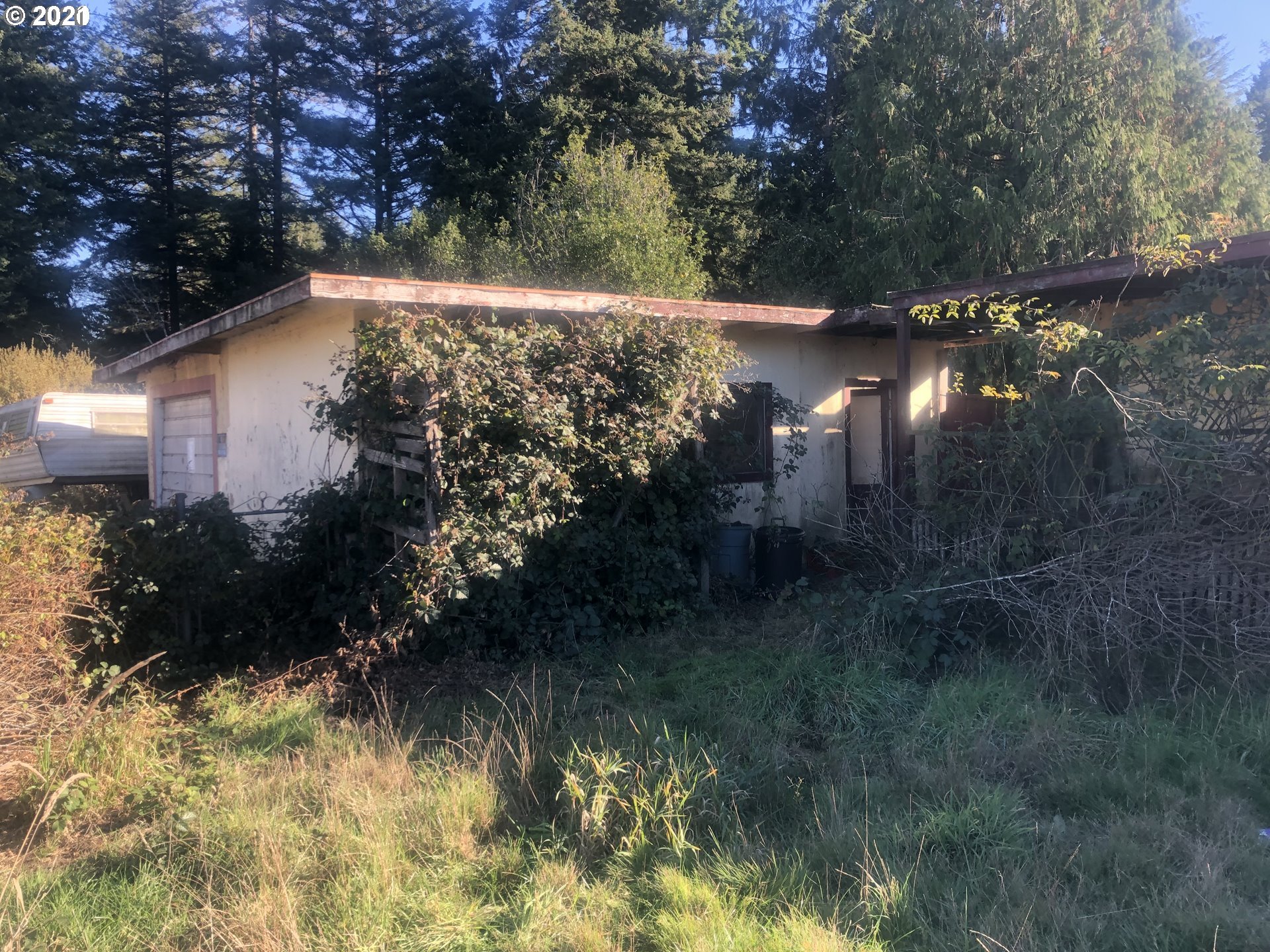 57198 Fat Elk Road Coquille, OR 97423 - Photo 7 of 17