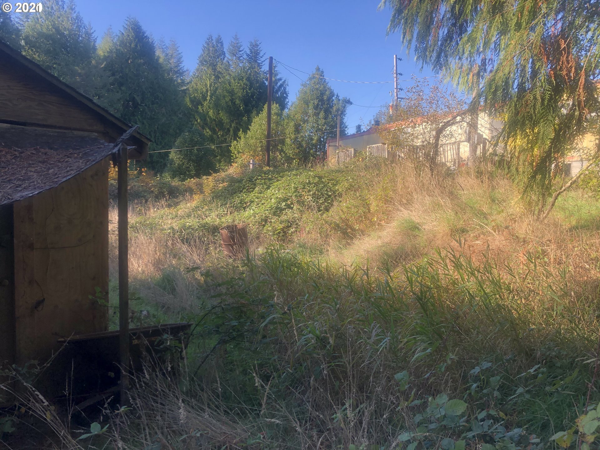 57198 Fat Elk Road Coquille, OR 97423 - Photo 9 of 17