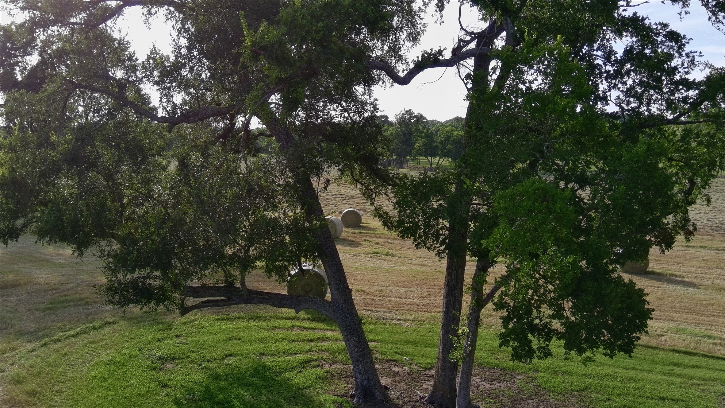 3285 Fm 2562 Road Anderson, TX 77830 - Photo 47 of 49
