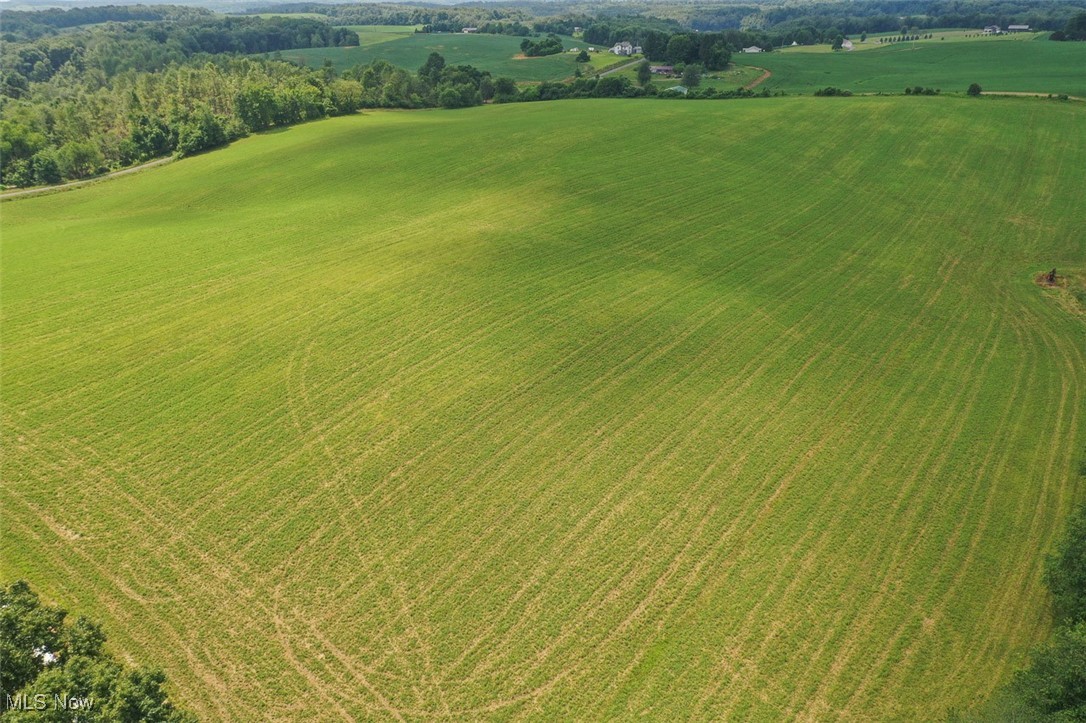 11583 Bower Road Minerva, OH 44657 - Photo 27 of 36 Drone / aerial view