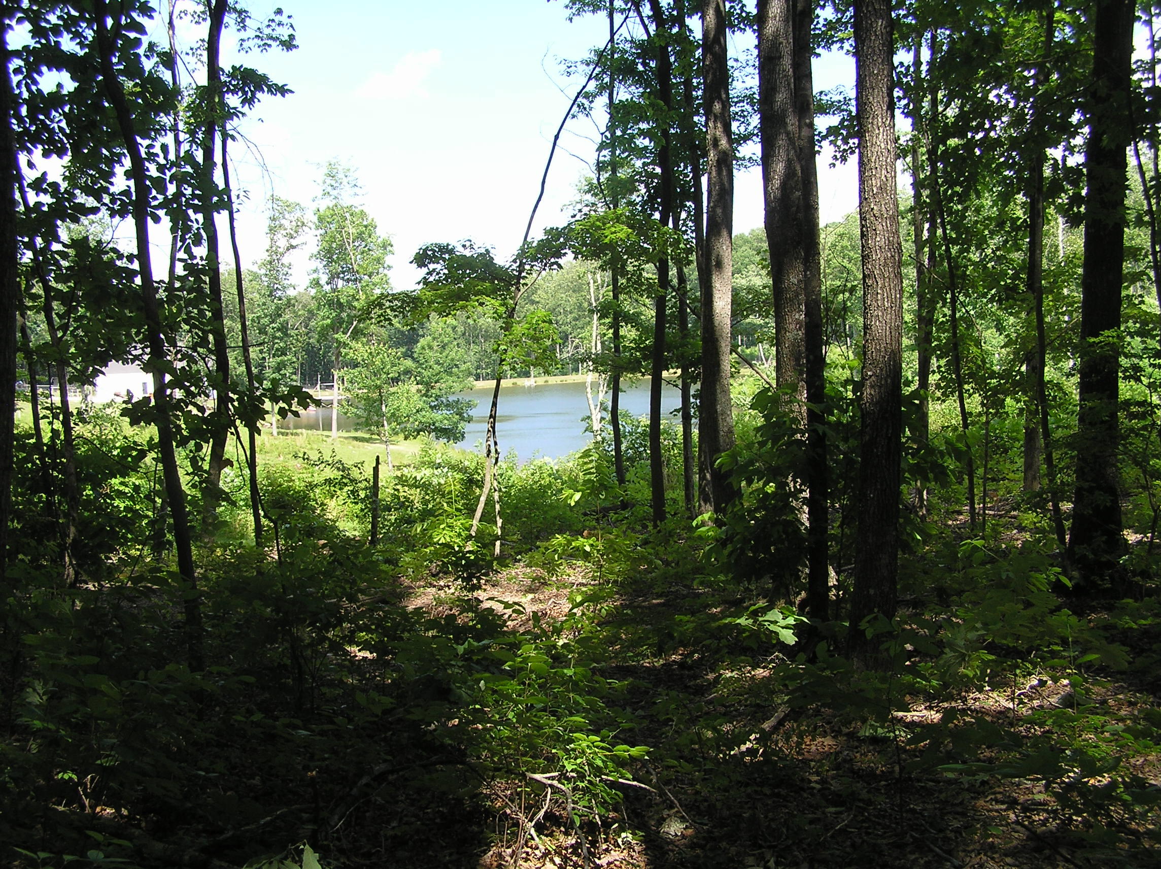800 Raven Cliff Road Graysville, TN 37338 - Photo 13 of 32 3 acres 012