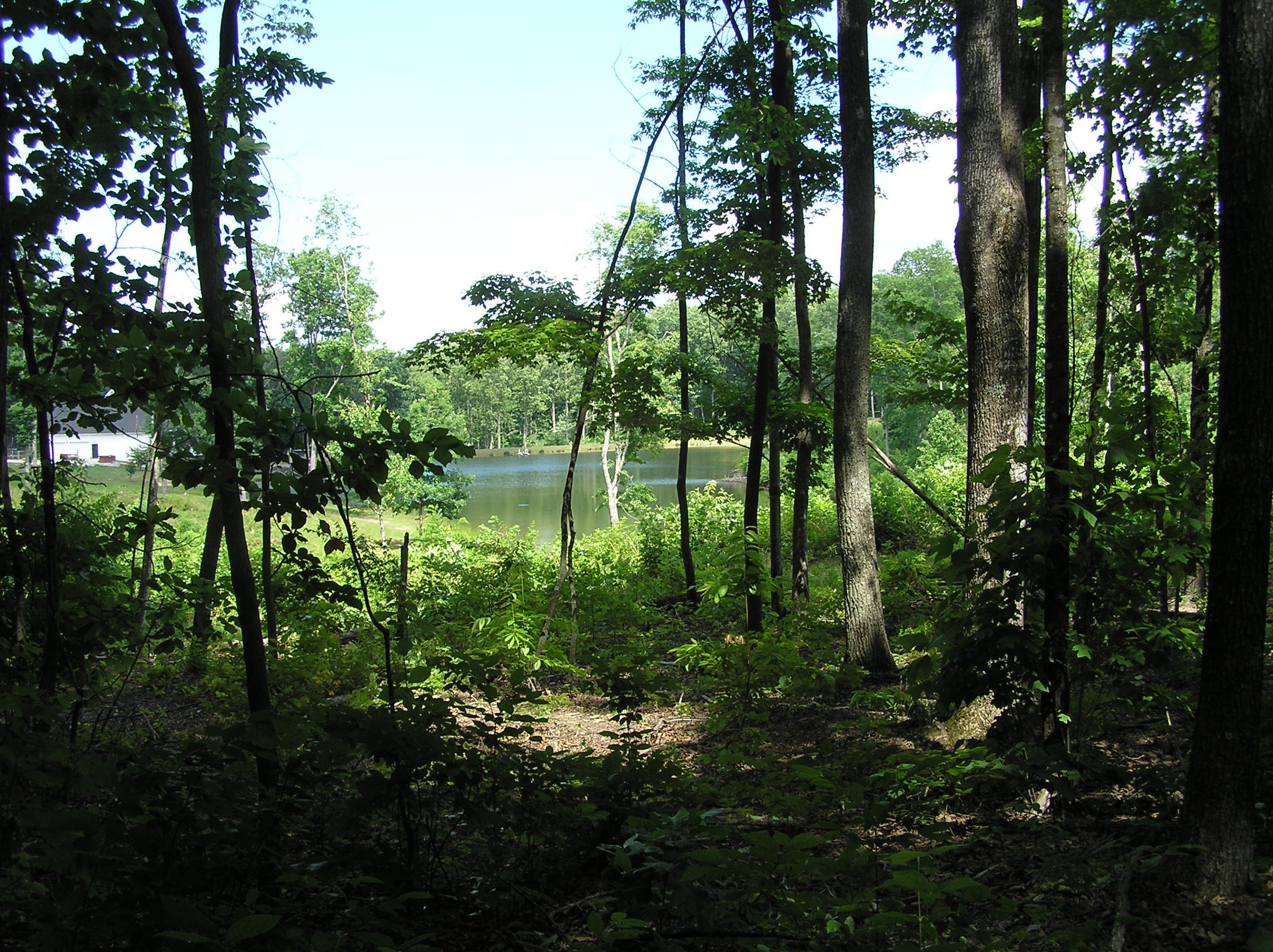 800 Raven Cliff Road Graysville, TN 37338 - Photo 19 of 32 3 acres 006