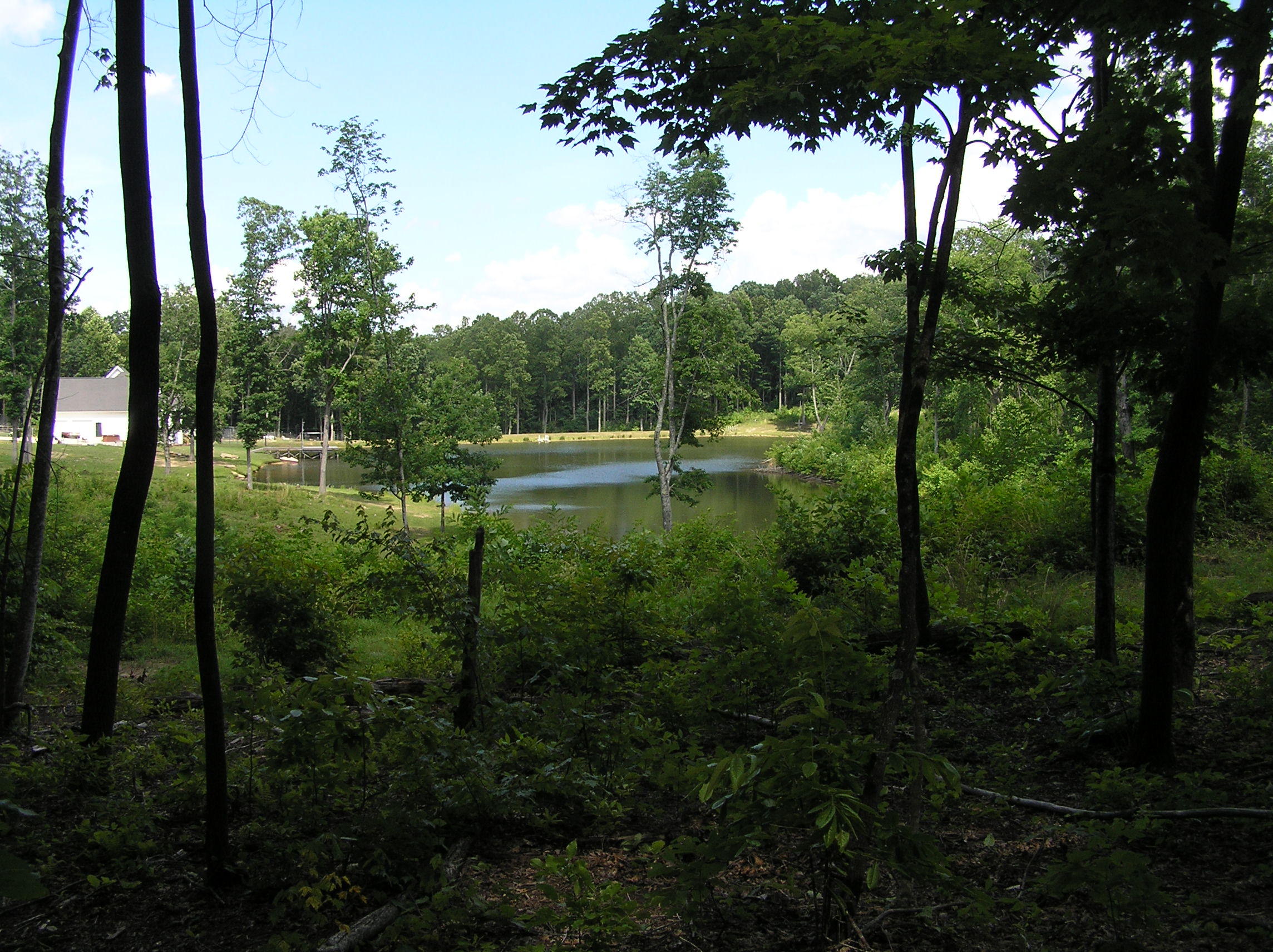 800 Raven Cliff Road Graysville, TN 37338 - Photo 20 of 32 3 acres 007