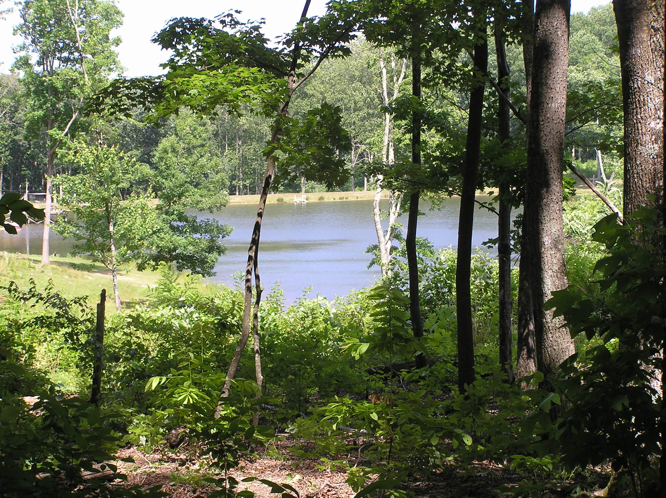 800 Raven Cliff Road Graysville, TN 37338 - Photo 21 of 32 3 acres 011