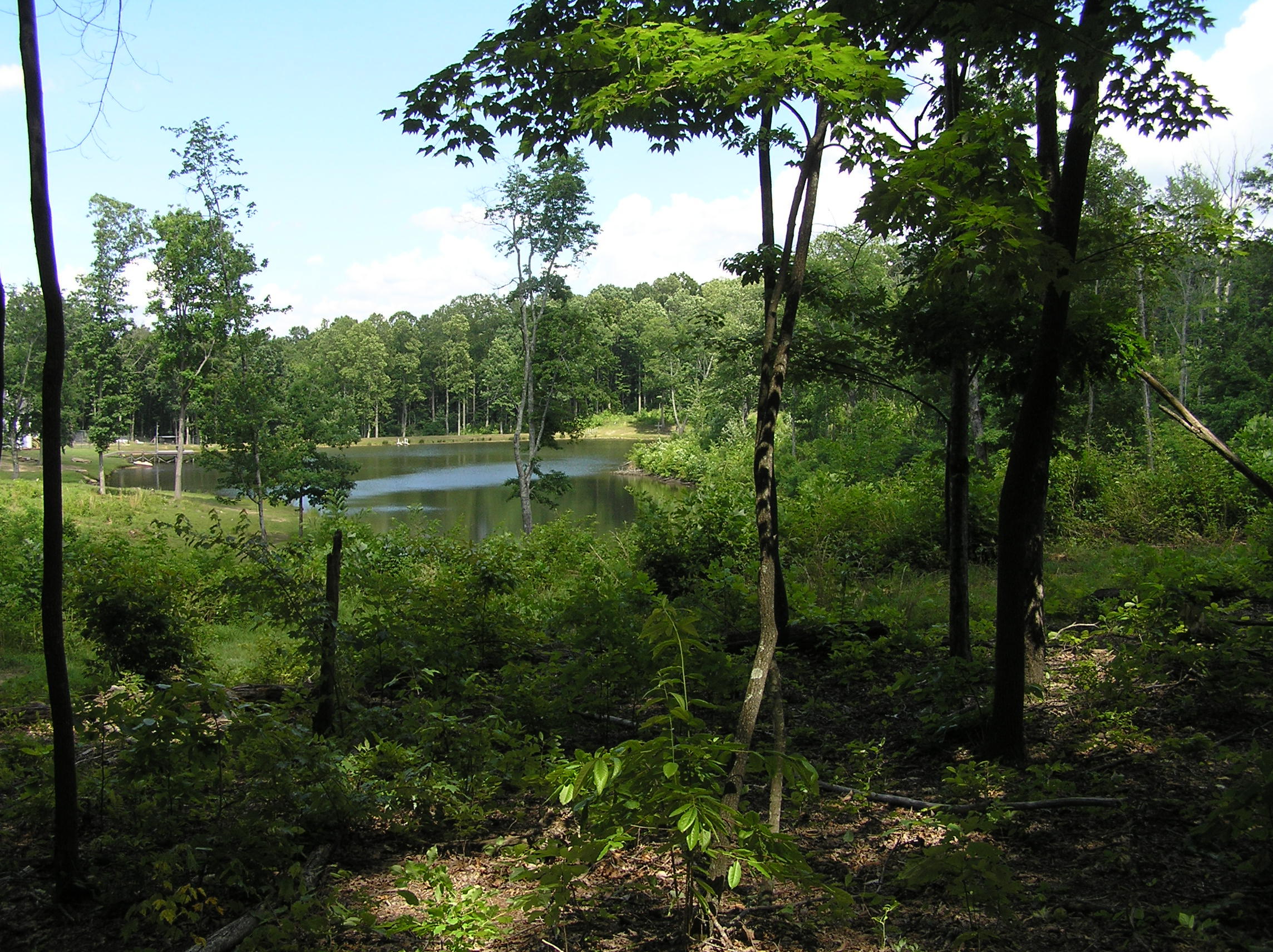 800 Raven Cliff Road Graysville, TN 37338 - Photo 22 of 32 3 acres 008