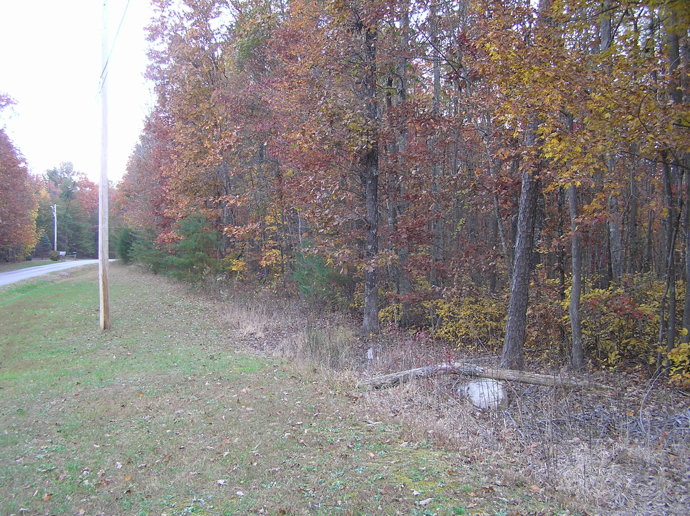 800 Raven Cliff Road Graysville, TN 37338 - Photo 24 of 32 savage 067