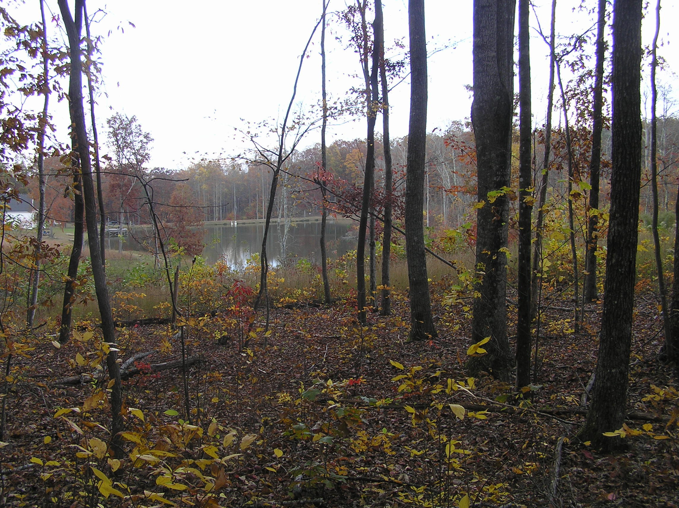 800 Raven Cliff Road Graysville, TN 37338 - Photo 26 of 32 savage 078