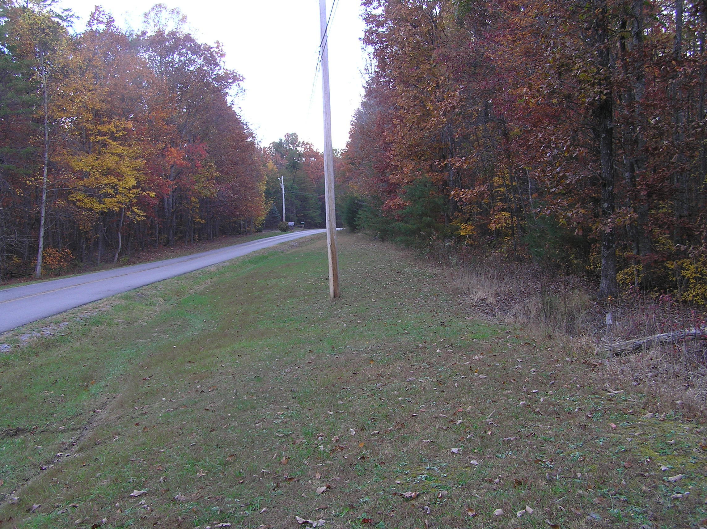 800 Raven Cliff Road Graysville, TN 37338 - Photo 5 of 32 savage 066