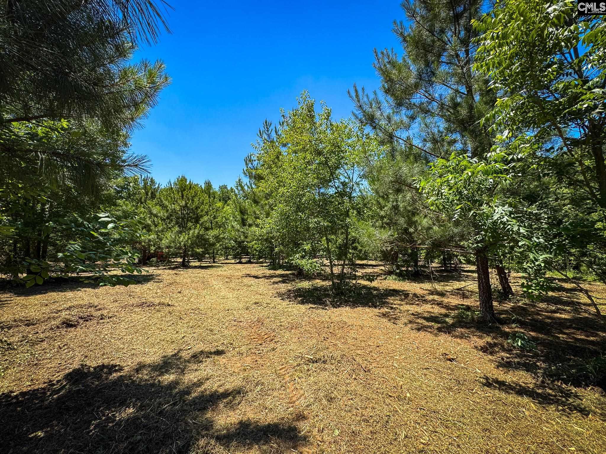 0 South Bethlehem Road, Unit LOT 2 Batesburg, SC 29006 - Photo 3 of 8
