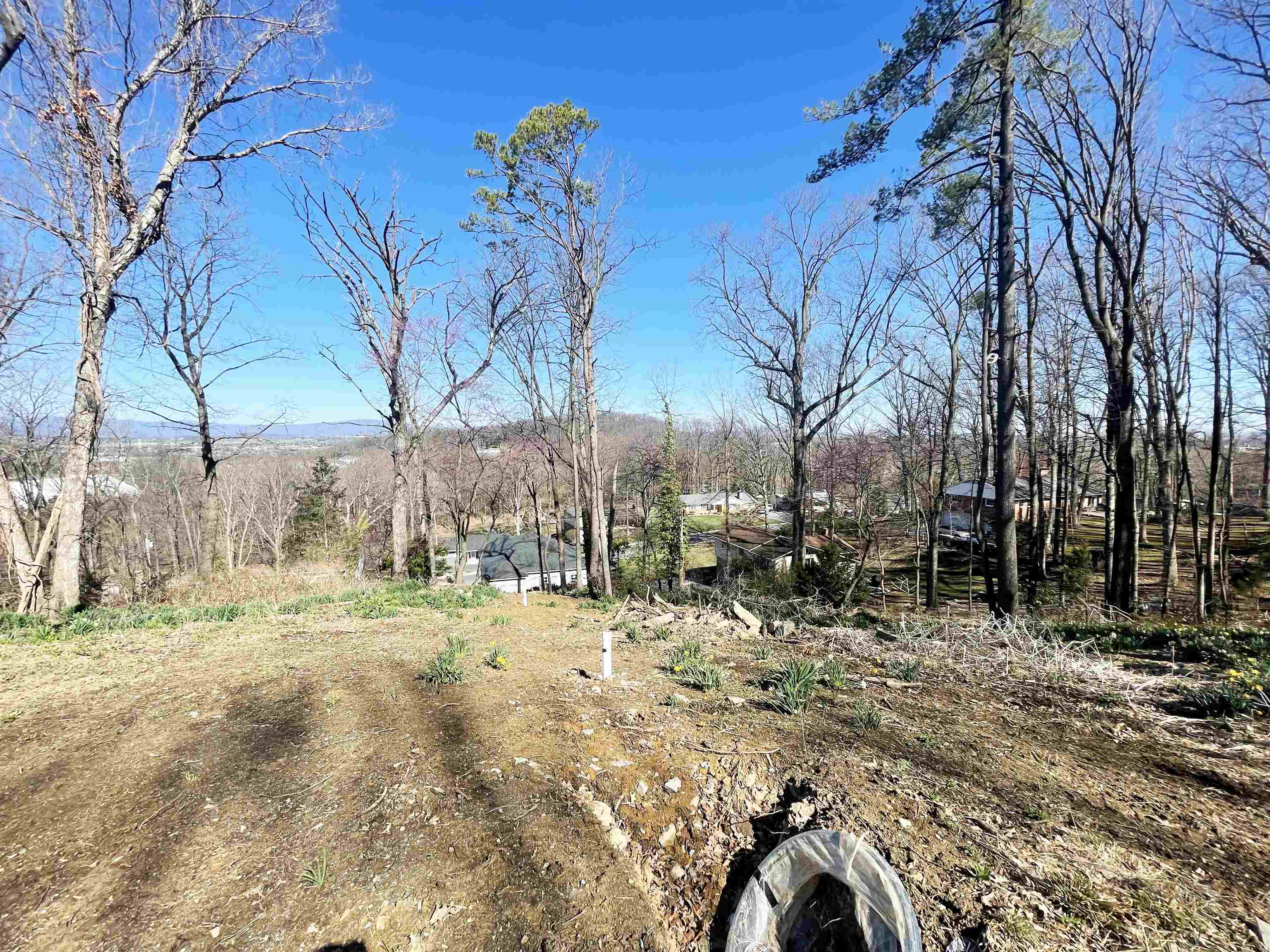 1201 Windsor Road Harrisonburg, VA 22801 - Photo 5 of 7 Gallery Image 5