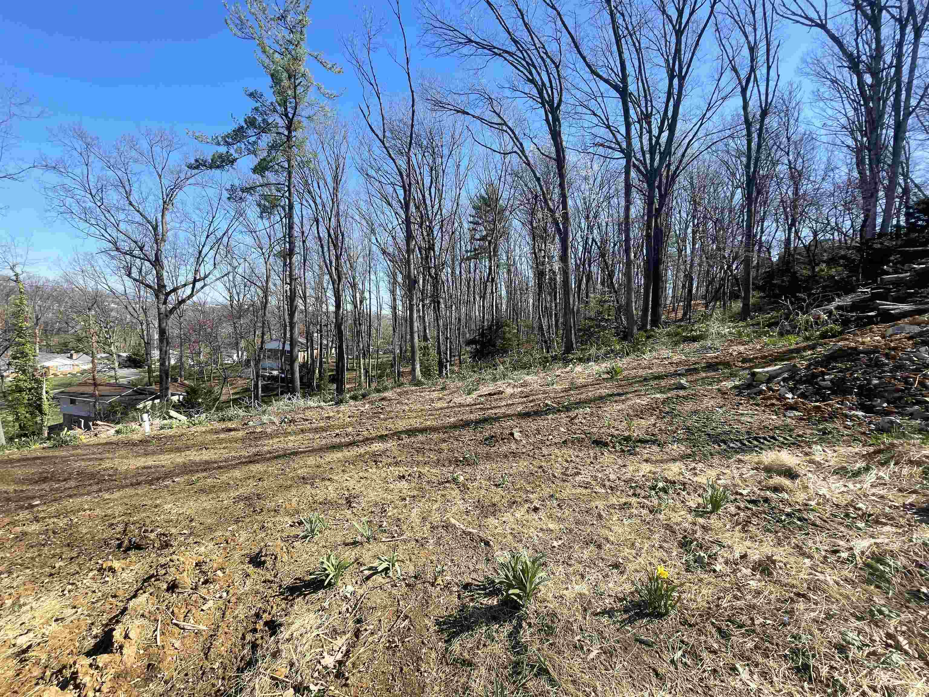 1201 Windsor Road Harrisonburg, VA 22801 - Photo 7 of 7 Gallery Image 7
