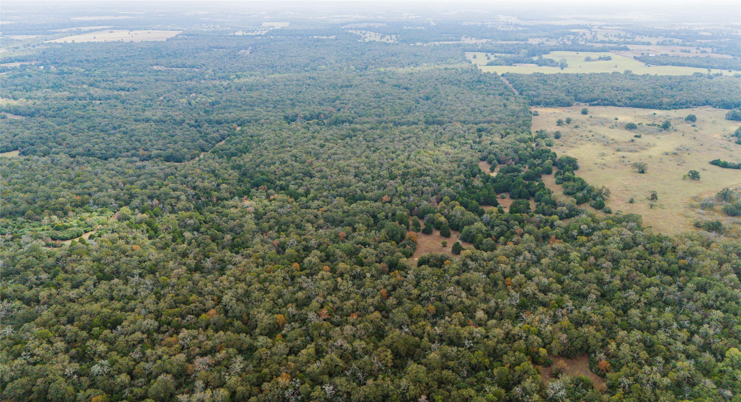 Tbd North County Road East, Unit 415 Lexington, TX 78947 - Photo 3 of 14