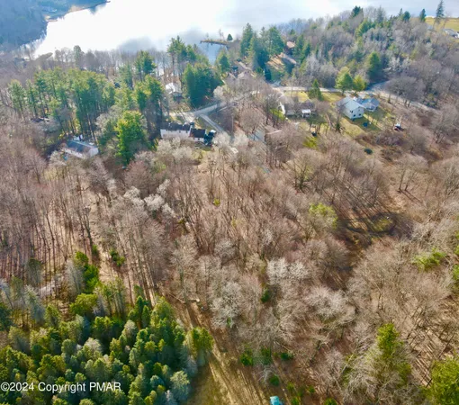 a view of a dry yard with trees and houses