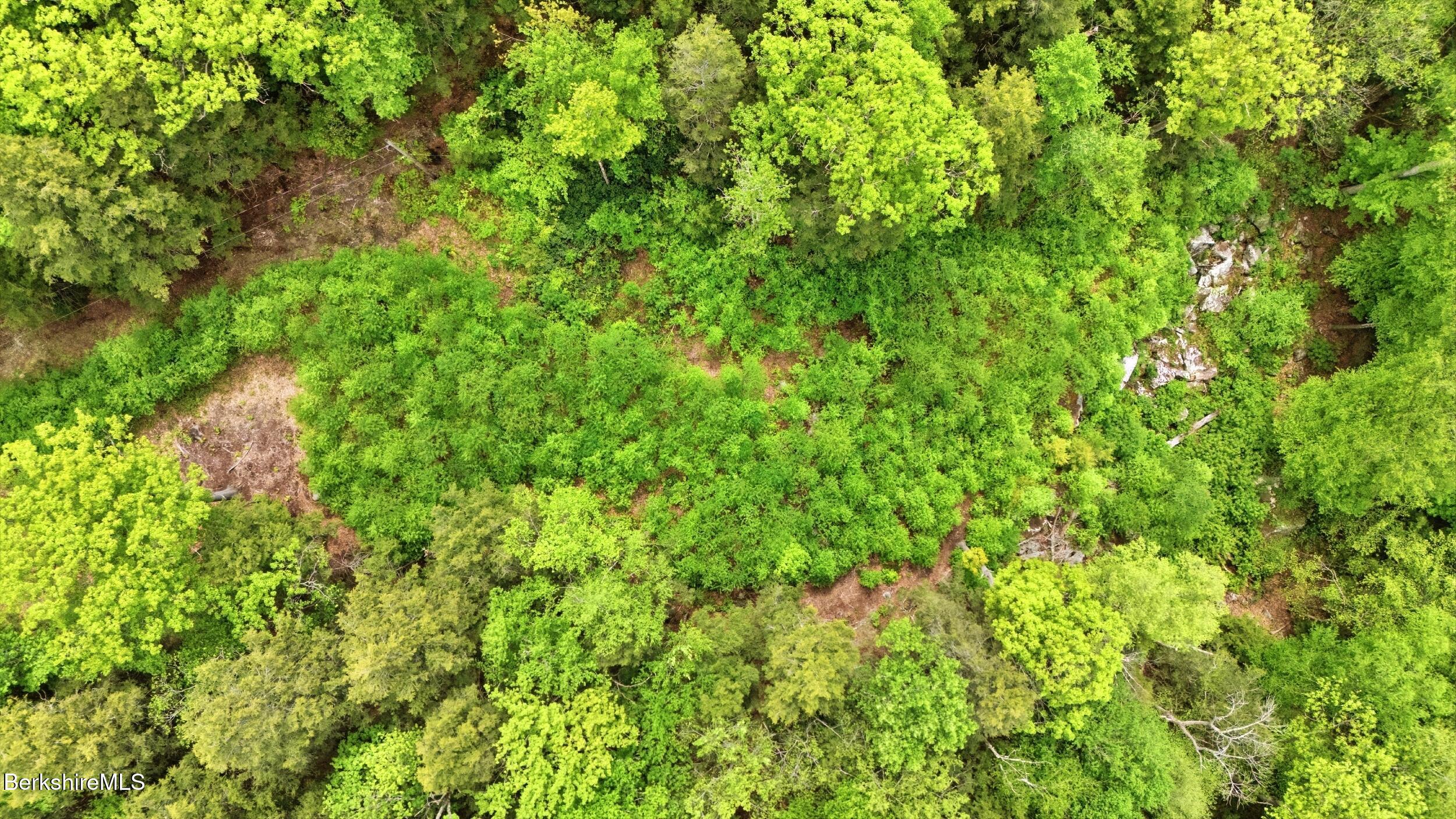 58 Stanley Road Otis, MA 01253 - Photo 2 of 19 View of Homesite from above