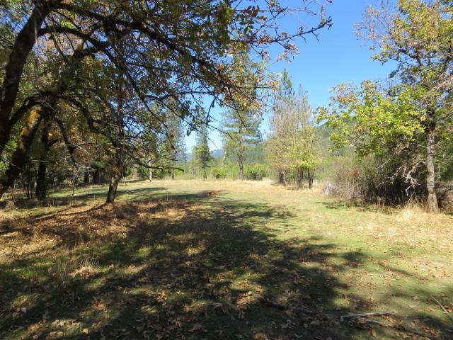 2500 Van Duzen Road Bridgeville, CA 95526 - Photo 6 of 48