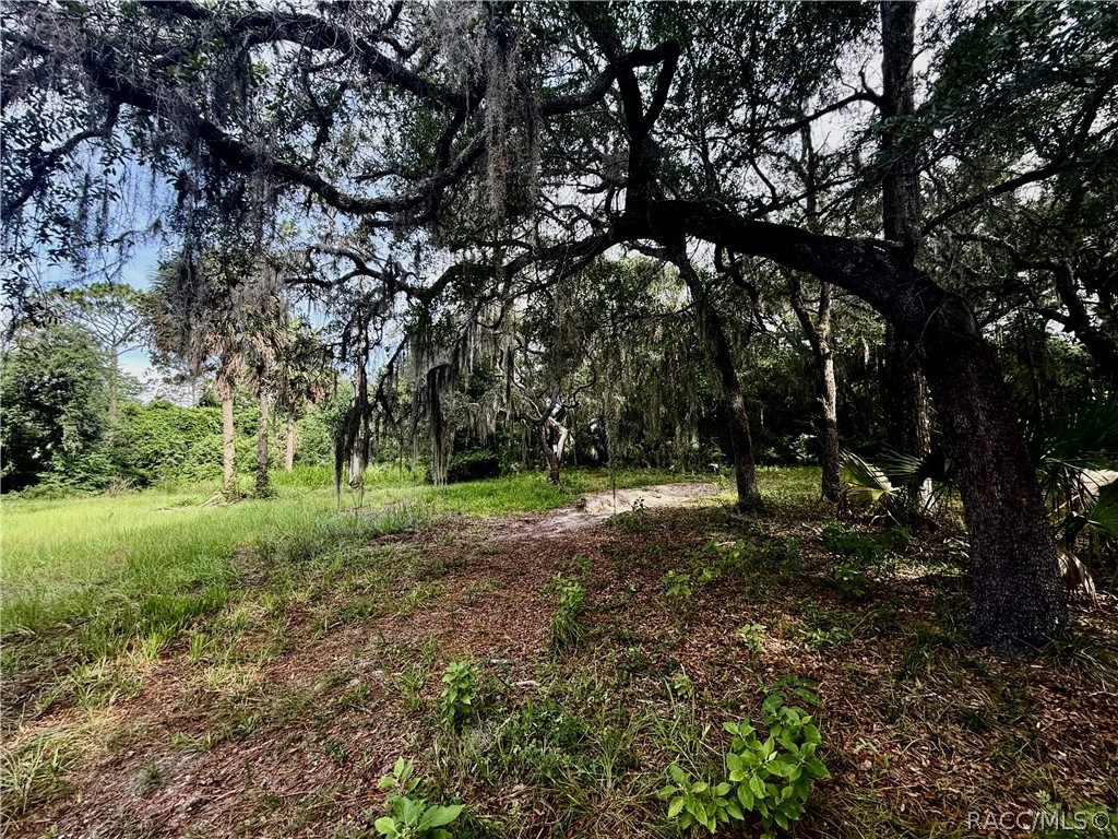 271 Hudson Street Inglis, FL 34449 - Photo 8 of 45