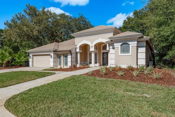 a view of a house with entertaining space and a palm tree