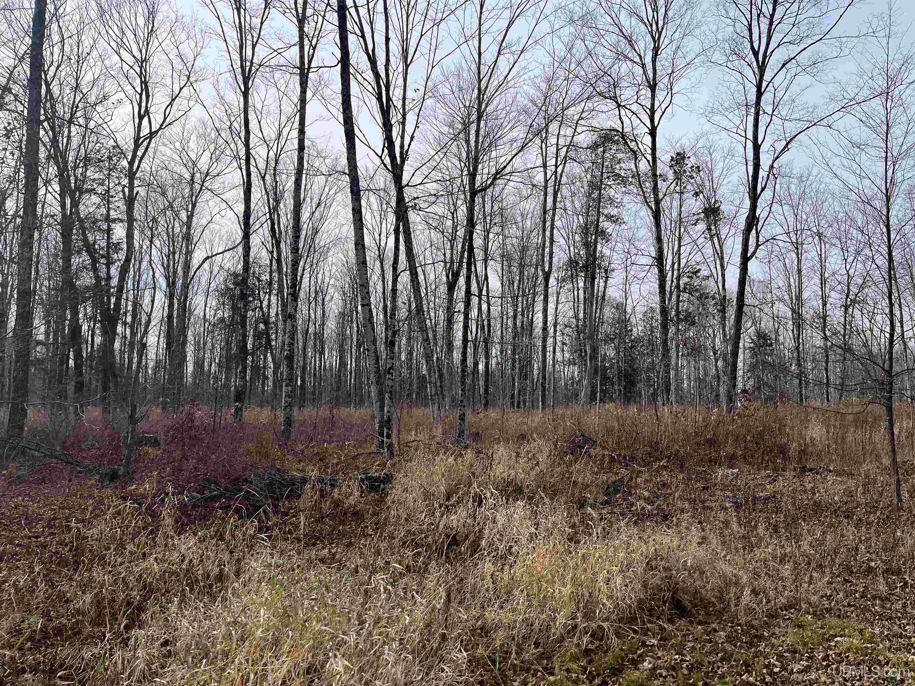 120-acres Off County Sk Road Cornell, MI 49818 - Photo 36 of 40