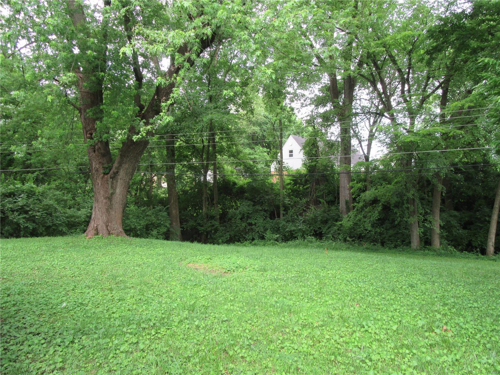 233 Ladue Road Belleville, IL 62223 - Photo 38 of 39 Gallery Image 38