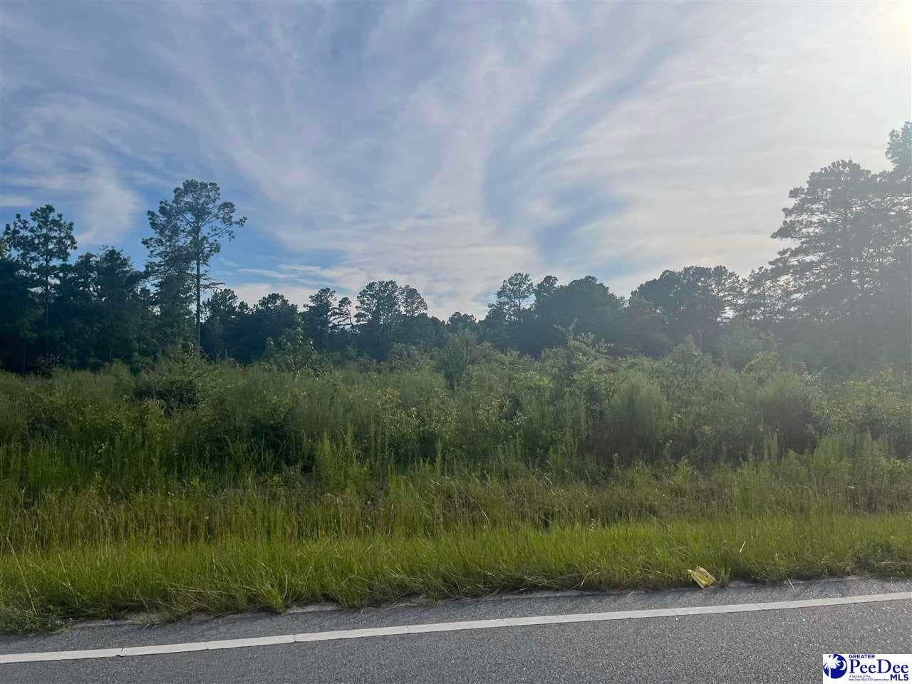 Tbd Freddie Loop Dillon, SC 29536 - Photo 1 of 1 Gallery Image 1
