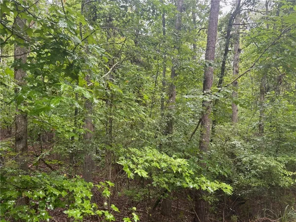 $19,000 | 0 Lake Forest Drive, Abbeville, SC 29620
