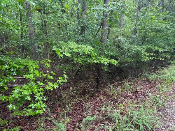 $19,000 | 0 Lake Forest Drive, Abbeville, SC 29620