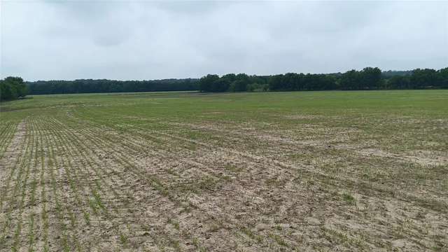 a view of an ocean and beach