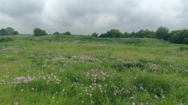 a view of a big green field with lots of green space