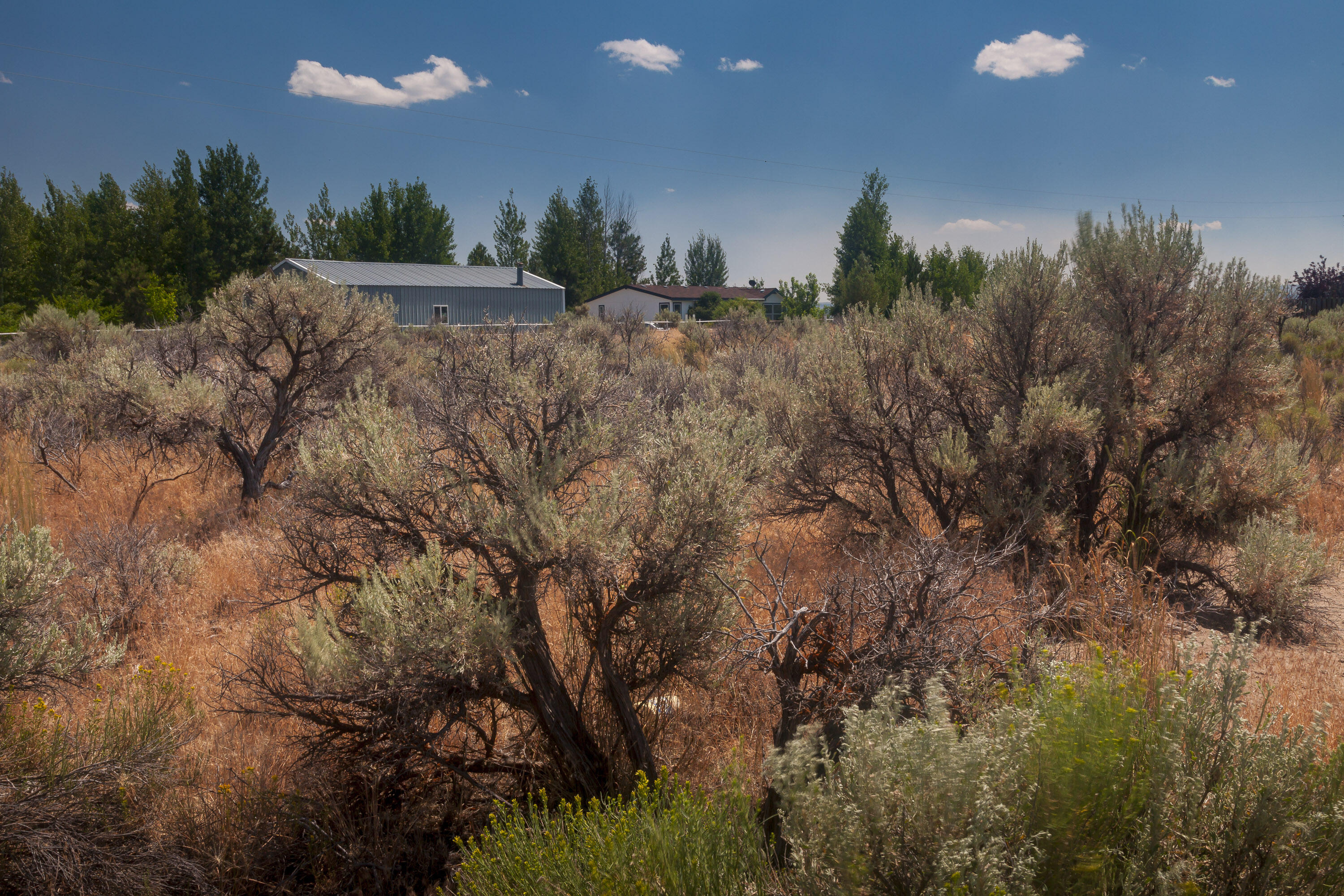 57282 Tinsel Road Christmas Valley, OR 97641 - Photo 12 of 54 SW corner (approximate) looking southeast.