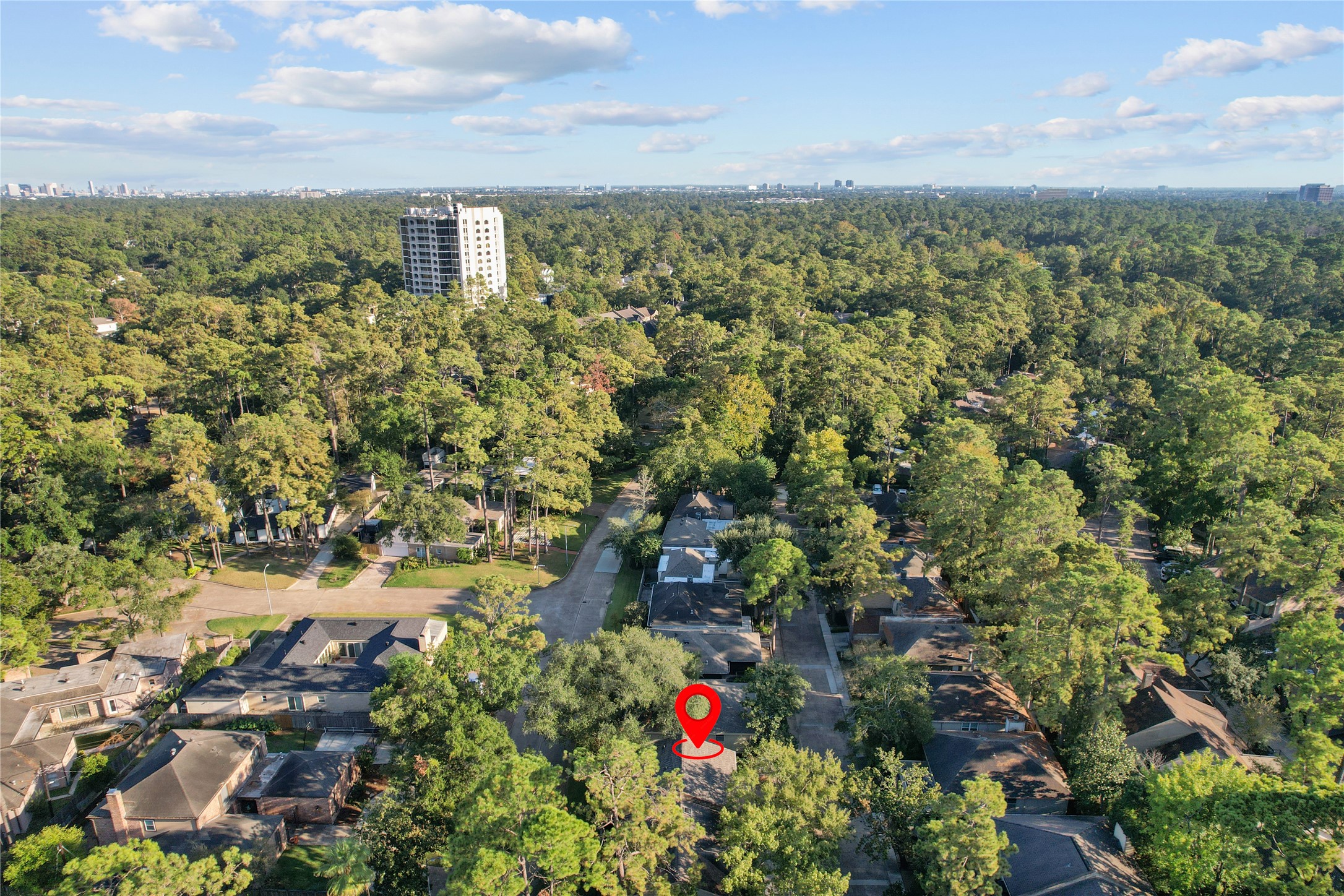 201 Vanderpool Lane, Unit 103 Houston, TX 77024 - Photo 14 of 28