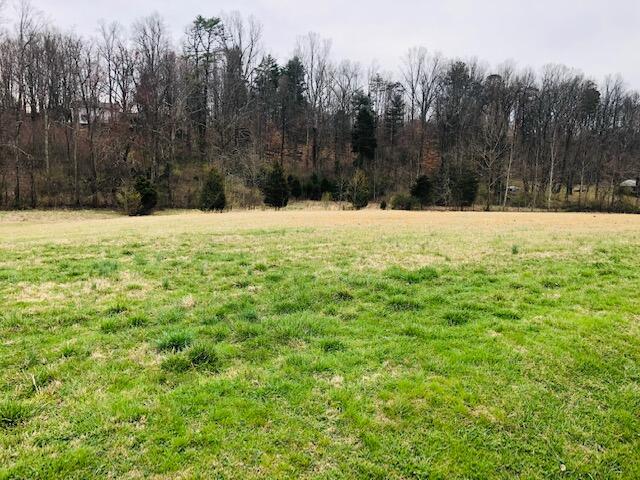 0 Booher Road Bristol, TN 37620 - Photo 2 of 2 IMG_2884