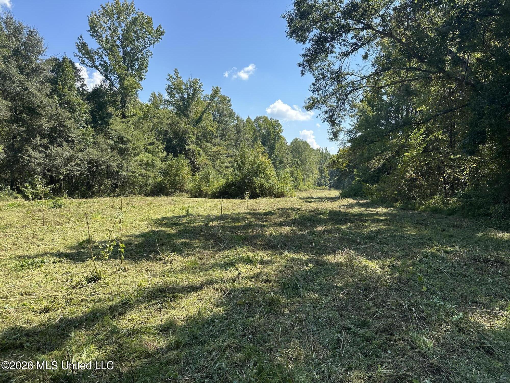 329 Big Man Road West, MS 39192 - Photo 6 of 16 IMG_7627