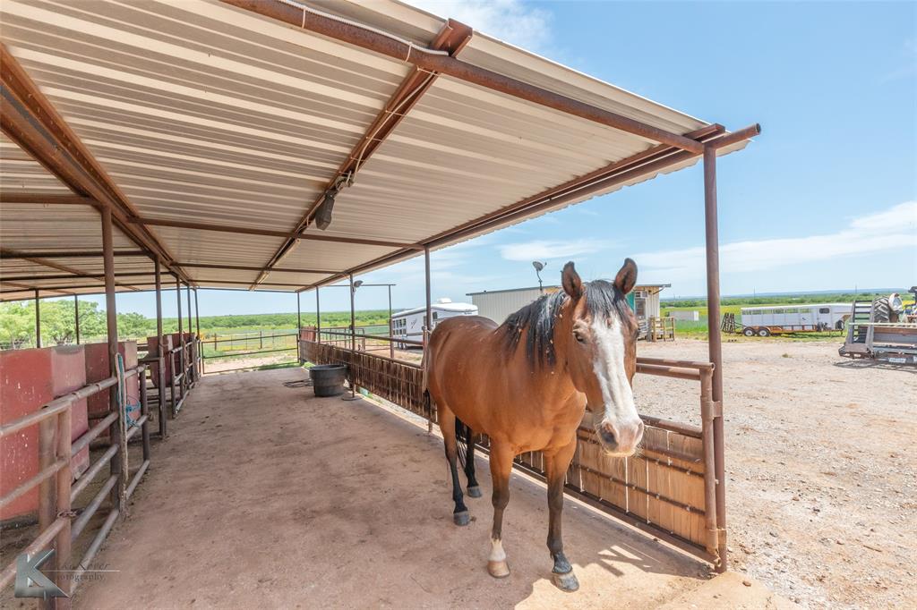 8608 Spinks Road Abilene, TX 79603 - Photo 33 of 40 Covered Horse Area