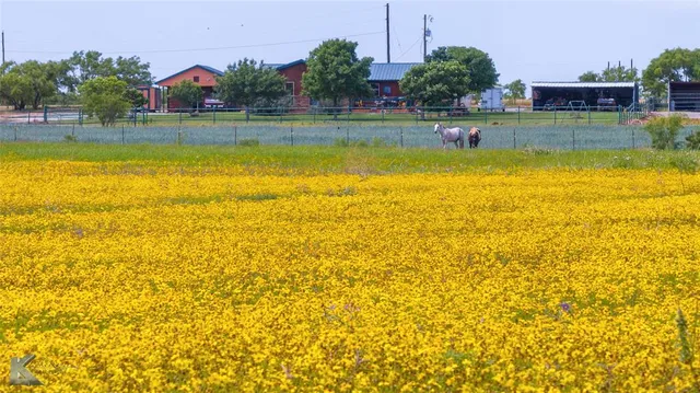 a view of an swimming pool and a yard
