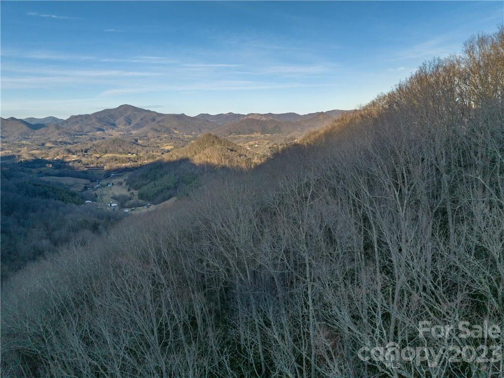 0 Valhalla Cove, Unit 2 Waynesville, NC 28785 - Photo 12 of 16 a view of mountain in middle of forest