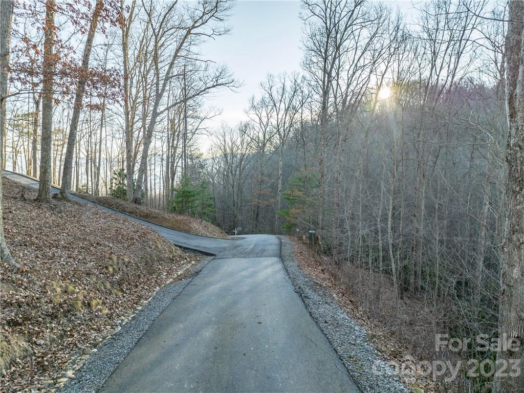 0 Valhalla Cove, Unit 2 Waynesville, NC 28785 - Photo 6 of 16 a view of a yard with trees
