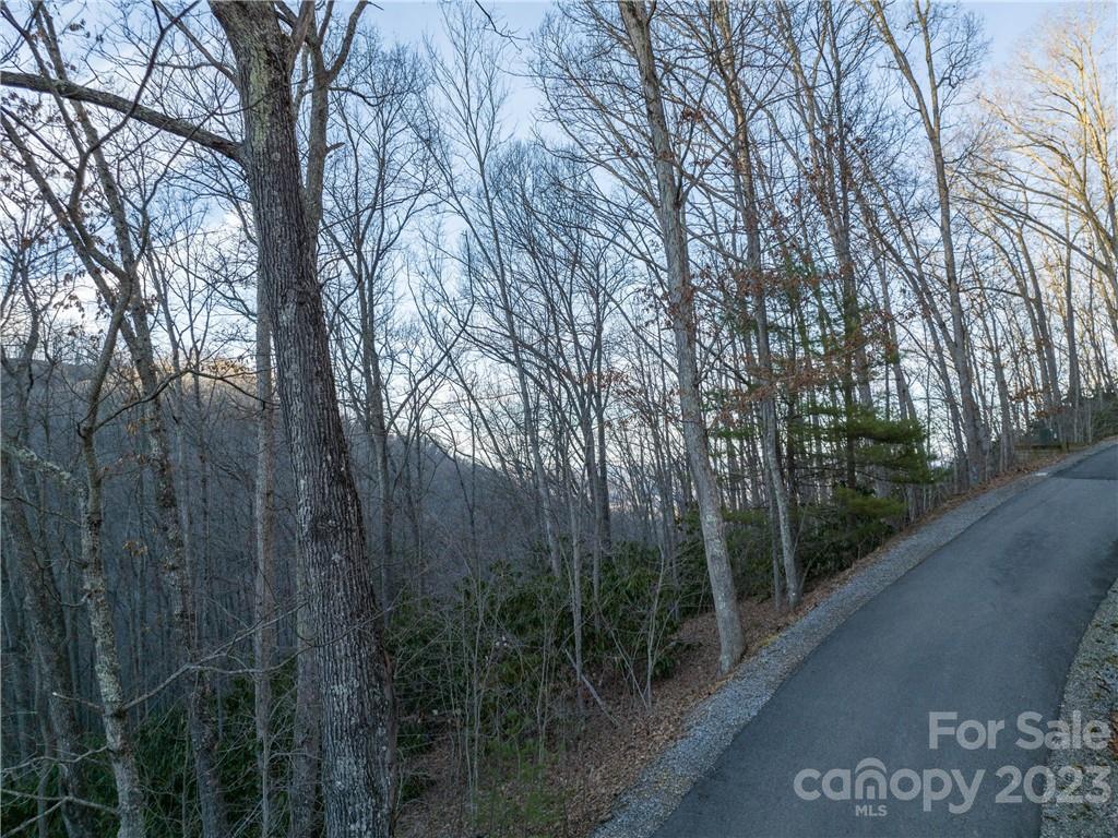 0 Valhalla Cove, Unit 2 Waynesville, NC 28785 - Photo 8 of 16 a view of a forest with a trees