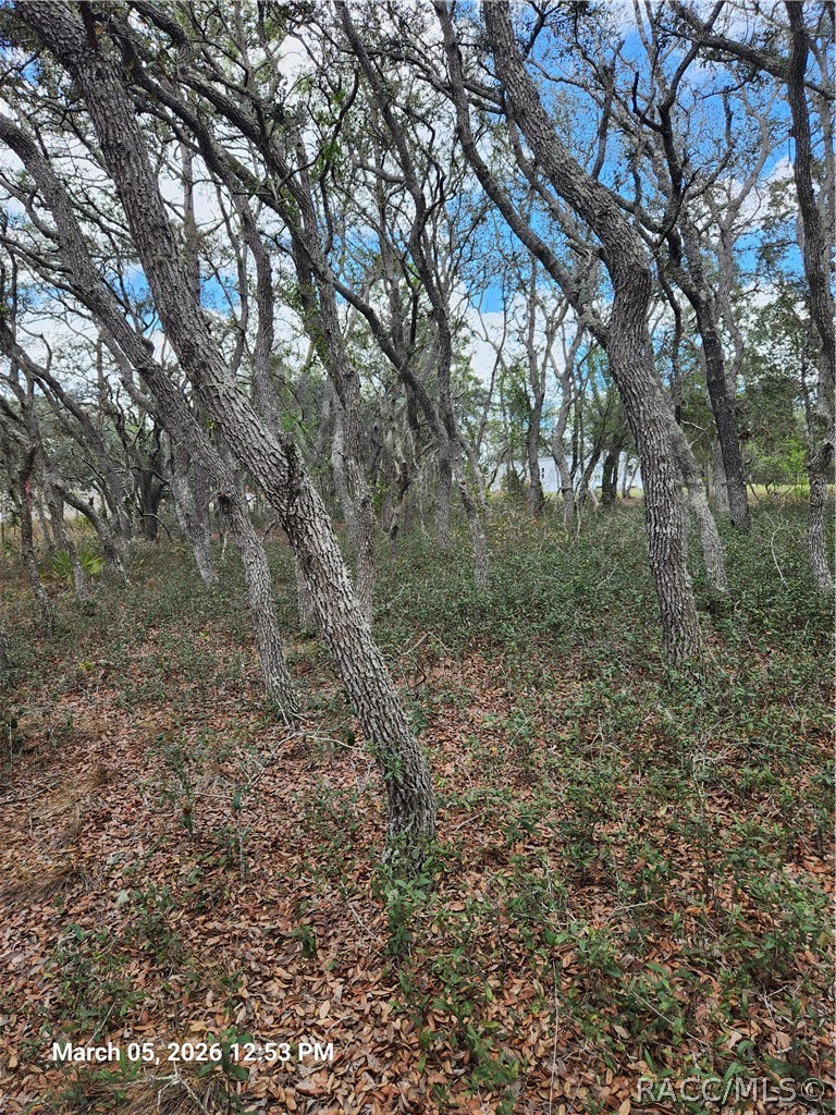 5686 South Butan Point Homosassa, FL 34446 - Photo 1 of 8 Gallery Image 1