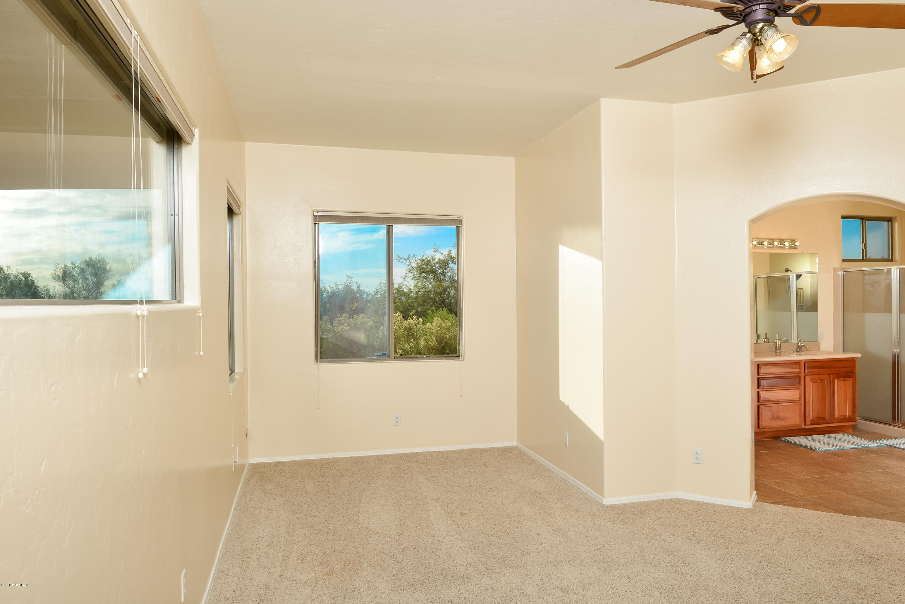 16264 Sycamore Ridge Trail Vail, AZ 85641 - Photo 34 of 46 Gallery Image 34