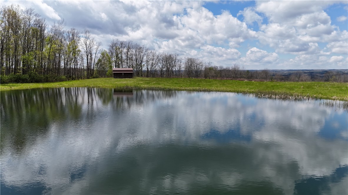 8625 Oakland Road Portage, NY 14517 - Photo 43 of 48