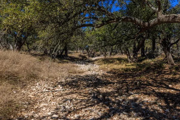 a view of beach and ocean