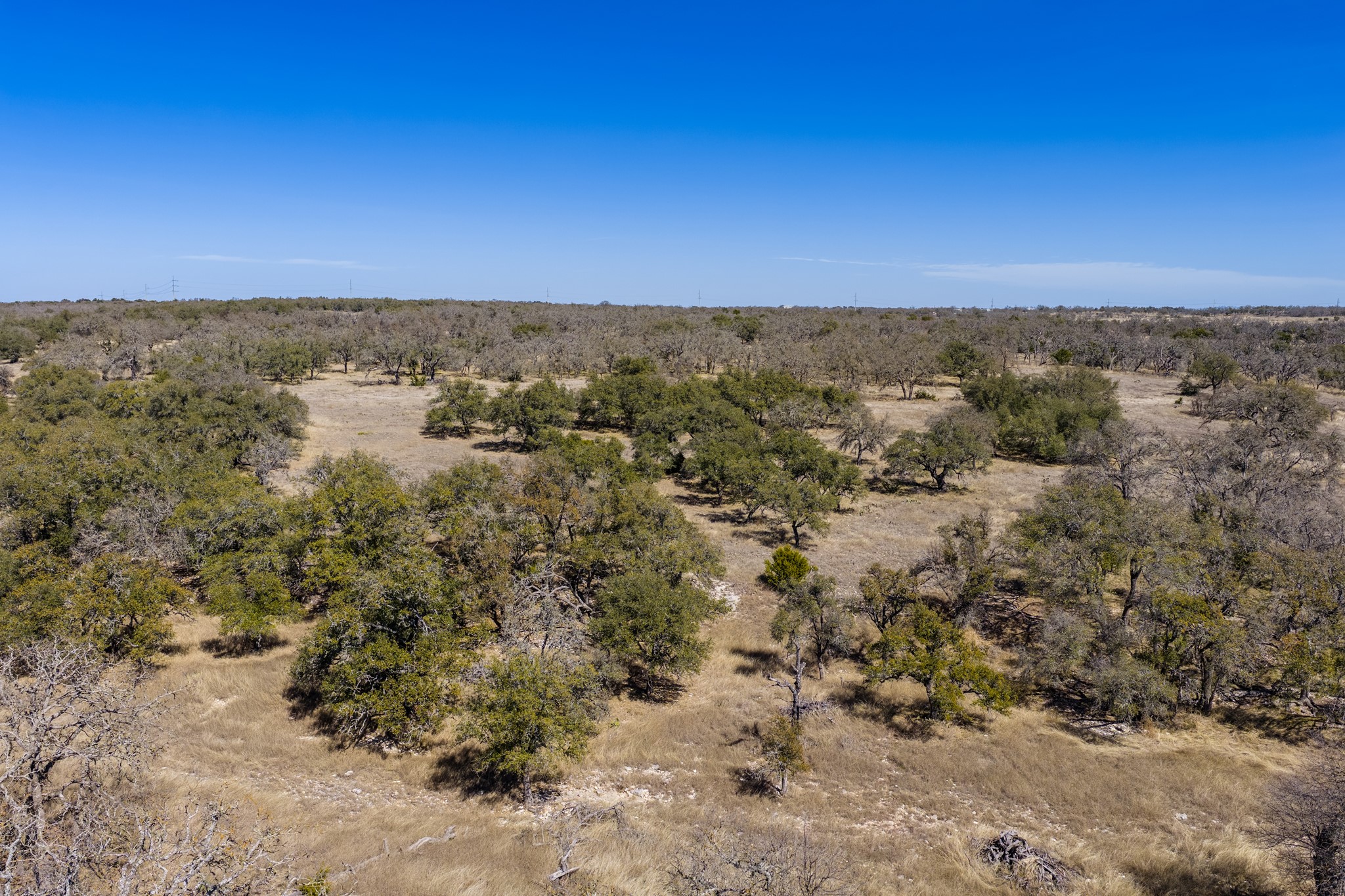 2020 Wendel Road Harper, TX 78631 - Photo 38 of 40